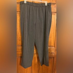 Size 24 Women’s stretch dress pants. EUC never worn only tried on. Nice staple
